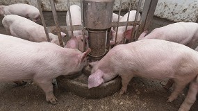 Foto de La FAO distingue a Ecogan por contribuir a una produccin ganadera ms sostenible