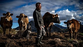 Antonio Aragn, Ana Muoz y Vanesa de Ruz ganan la sexta edicin de Objetivo Vacuno