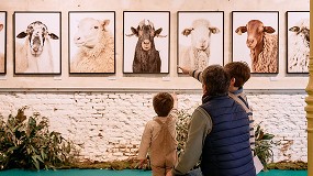 Foto de Madrid acoge la quinta edicin de Pastoreo para acercar la cultura del cordero a la ciudad