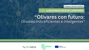 Foto de ‘Olivares con Futuro: olivares rentables, inteligentes y resilientes’, proyecto Climate Choice para impulsar la sostenibilidad y la eficiencia en el campo andaluz