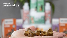 Foto de Cuando se acaba el amor, quin se queda con el perro?