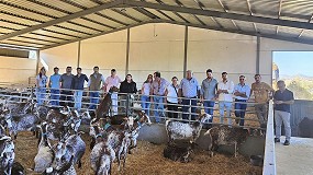 Foto de Ganaderos de Cooprado se interesan por el manejo y la gentica de la raza Florida