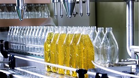 Foto de Las empresas de Anierac registran un 34% menos de aceite de oliva en el mercado