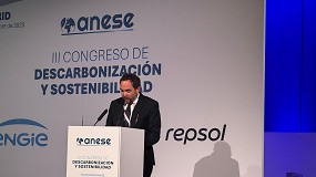 Foto de Ms de 300 expertos en el III Congreso de Descarbonizacin y Sostenibilidad de Anese