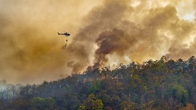 El balance de la temporada de incendios forestales 2025 revela un desafo estructural que exige prevencin y corresponsabilidad