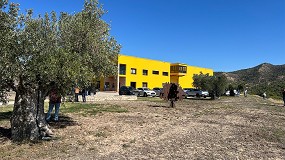 Club Lecciana, una variedad de referencia del olivar en seto