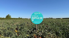 Foto de Fertiberia y Agraz aceleran la innovacin en el cultivo de tomate