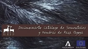 Foto de La raza caprina Payoya publica oficialmente su XIV Catálogo de Sementales y Hembras