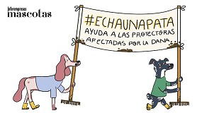 Foto de Dingo se une a la iniciativa solidaria de Patasbox por las protectoras afectadas por la DANA de Valencia