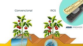 Foto de GO POMODORO: Aumentando la productividad de los recursos en la cadena de tomate para industria