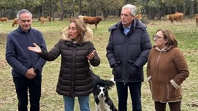 Foto de Castilla y León destinará 10 millones de euros al nuevo Plan de Ganadería Extensiva