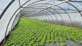 Foto de El sector agrario pisa fuerte: aumenta la creacin de sociedades y el capital invertido