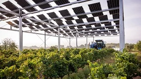 Foto de GO SolarWine: la revolución agrovoltaica que transforma el viñedo en fuente de energía y conocimiento