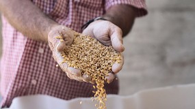 Foto de Actualiza la normativa del uso de protenas animales transformadas en alimentacin animal