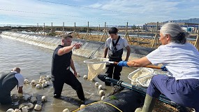 El IRTA lidera el proyecto europeo BLUEBOOST para lograr una acuicultura ms sostenible y competitiva