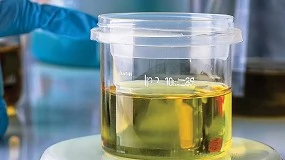 Foto de Olot Meats transformará grasa porcina en biocombustible para aviación