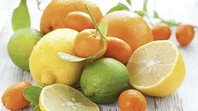 Foto de DigiFarm2all: sustentabilidade e democratiza��o da Agricultura 4.0 na produ��o de citrinos