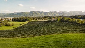 Foto de El MAPA mantiene en 2026 el presupuesto de 315 millones de euros para el Plan de Seguros Agrarios