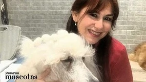 Foto de La importancia del baño y el secado en la peluquería canina