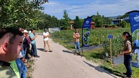 Foto de Bfruit e Hortifrut: uma parceria que valoriza a produ��o de pequenos frutos em Portugal