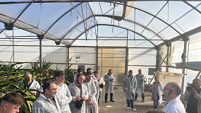 Foto de Cajamar muestra en Las Palmerillas las ltimas innovaciones tecnolgicas aplicadas a cultivos hortofrutcolas en invernadero