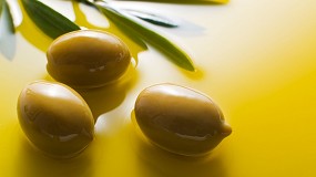 El CSIC y Olivrica colaborarn en proyectos para plantaciones de olivar de alta densidad