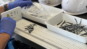 Foto de La abundancia de anchoa juvenil en el Golfo de Bizkaia duplica la media histrica