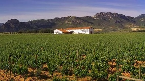 Foto de Bodegas Muga busca viticultores de Rioja Alta para incorporar nuevos viñedos a su proyecto