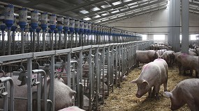 Foto de El MAPA confirma los primeros casos de peste porcina africana en Espa�a desde 1994