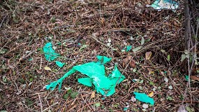 Foto de Arranca la 9 edicin de 1m por el campo, los bosques y el monte con ms de 5.000 voluntarios movilizados