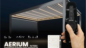 Integraci�n total en el exterior: un caso de �xito con la gama Aerium de Enjoy Motors