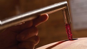 La fase post-fermentativa: �oportunidad o riesgo para el vino?