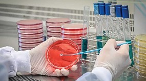 Desaf�os en la detecci�n de bacterias pat�genas en estado viable pero no cultivable (VBNC) en la industria alimentaria