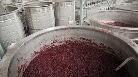 Foto de CO2 das adegas transformado em microalgas com valor alimentar