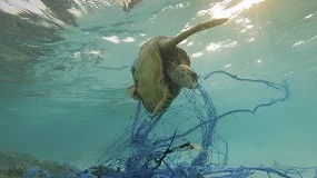 Foto de Del mar al laboratorio: plásticos transformados en energía limpia, materiales de depuración de aguas y biocombustibles