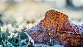 Foto de As debes preparar tu sistema de riego para el invierno, segn Rain Bird