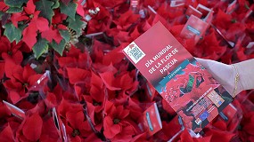 Foto de La capital europea de la flor de Pascua: Stars for Europe reparte poinsettias en el Mercado de San Fernando