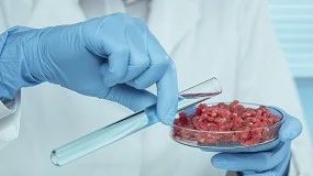 Foto de Hungria probe produo e venda de carne cultivada em laboratrio