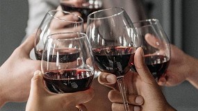 Foto de OIVE lanza una plataforma de inteligencia econ�mica