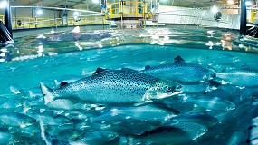 Himoinsa proporciona energ�a de emergencia en piscifactor�as de salm�n en Noruega