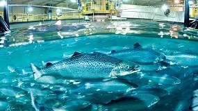 Foto de Himoinsa proporciona energía de emergencia en piscifactorías de salmón en Noruega