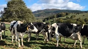 Foto de Presentación de resultados del proyecto Larresne sobre pastoreo inteligente y digitalización