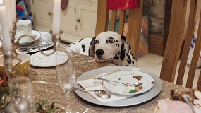 Foto de Natura Diet alerta sobre los riesgos alimentarios m�s frecuentes para perros y gatos durante las fiestas navide�as
