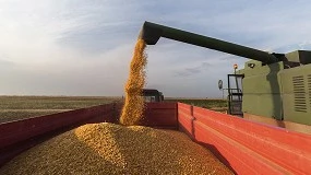 Foto de Nova Estratgia do Ministrio da Agricultura visa aumentar o autoaprovisionamento de cereais