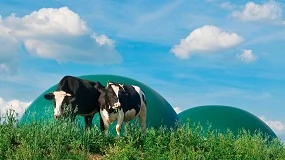 Foto de EBA analiza el avance del biogás y el biometano en Europa