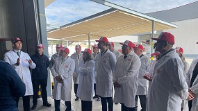 Foto de La Axarqu�a malague�a exporta 107.000 toneladas de aguacate y mango entre enero y septiembre, un 33% m�s que en 2024