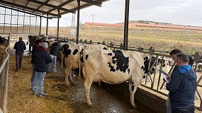 Conafe celebra con �xito su primer Taller de Morfolog�a y Gen�tica de la Raza Frisona