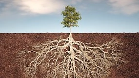 Foto de Opinión: Sin prisa… pero sin pausa