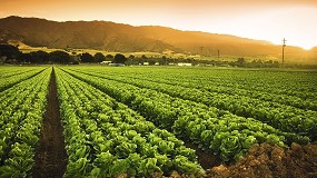 Foto de La renta agraria aumenta un 12,9% anual y alcanza los 41.262 millones de euros