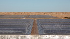 Foto de Fepex avisa de que los productores de tomate del Sahara tendr�n concesiones in�ditas y financiaci�n comunitaria